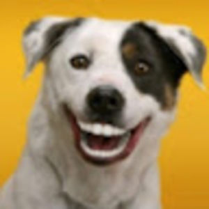 Meet your Posher, Zoie